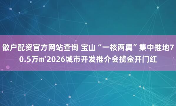 散户配资官方网站查询 宝山“一核两翼”集中推地70.5万㎡2026城市开发推介会揽金开门红