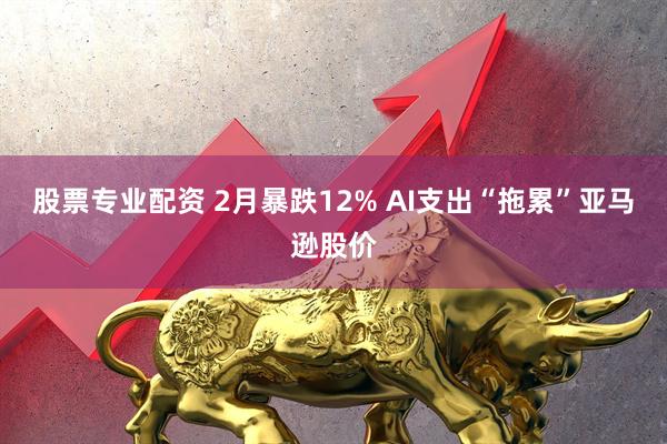 股票专业配资 2月暴跌12% AI支出“拖累”亚马逊股价