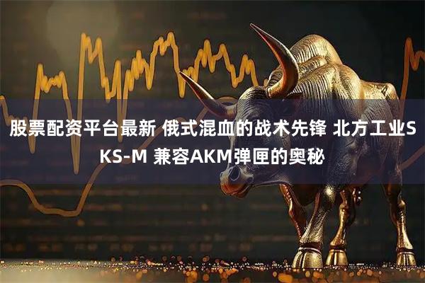 股票配资平台最新 俄式混血的战术先锋 北方工业SKS-M 兼容AKM弹匣的奥秘
