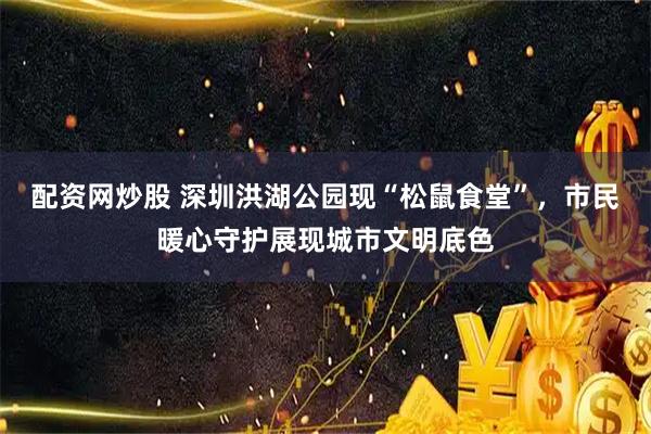 配资网炒股 深圳洪湖公园现“松鼠食堂”，市民暖心守护展现城市文明底色